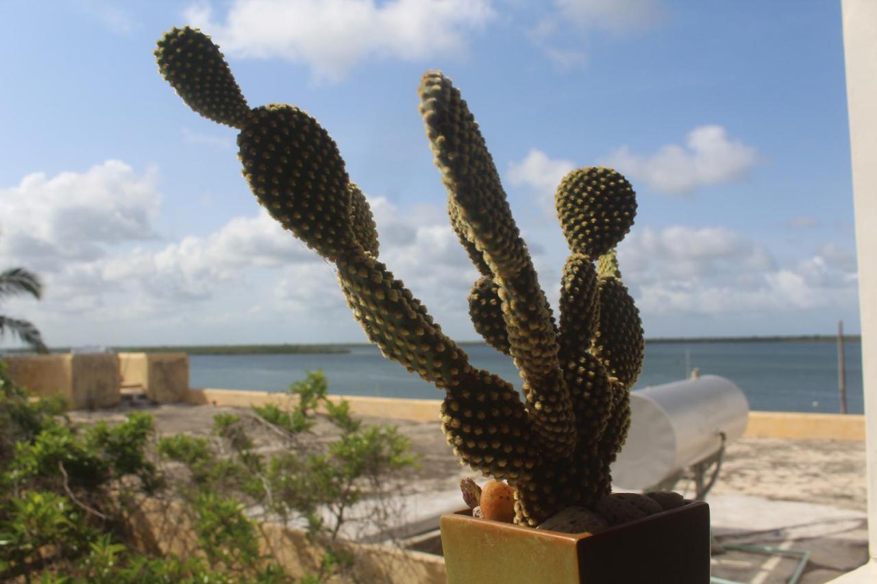 Kijani Hotel Lamu Luaran gambar